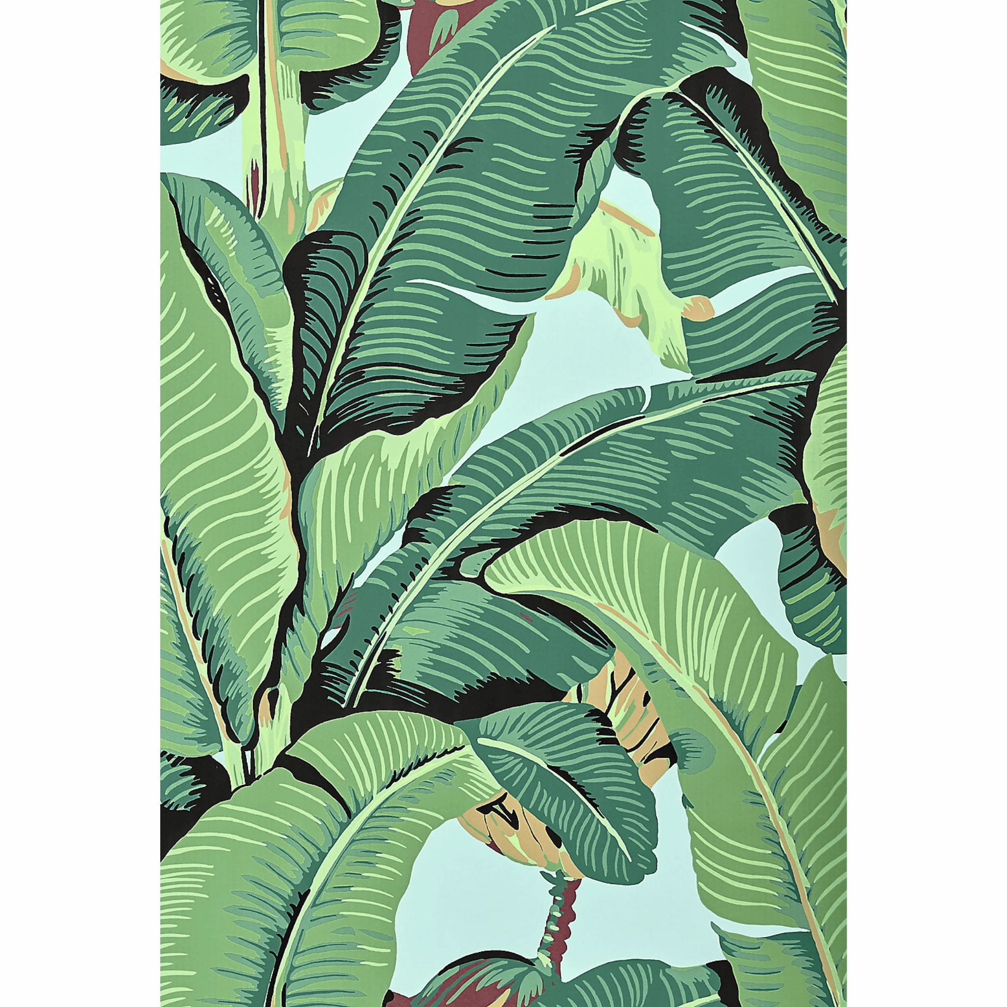 Hinson Sky Palm Wallpaper in Wide Width