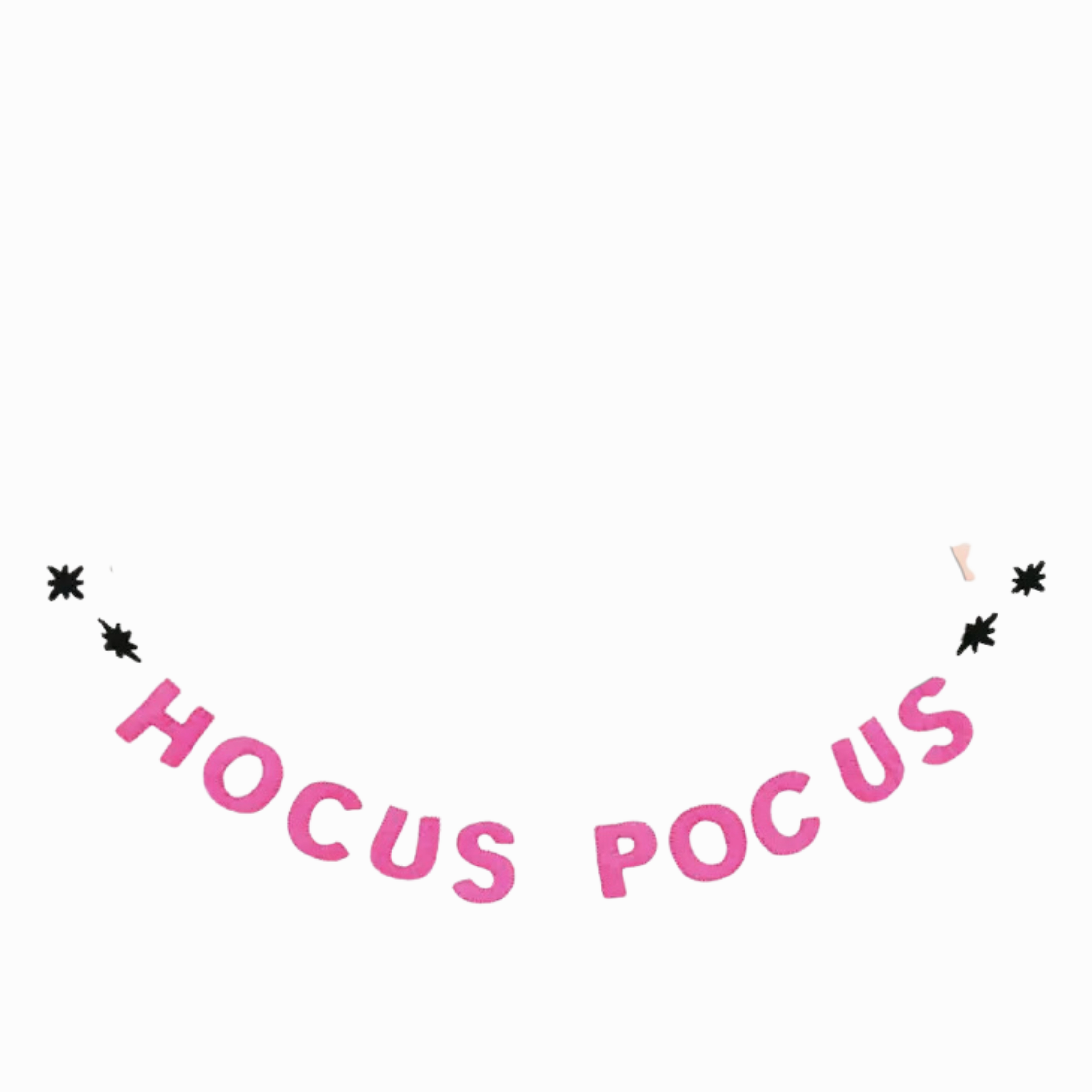 Hocus Pocus Felt Garland minimalist art object  
