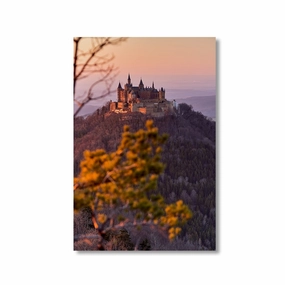 Hohenzollern Castle by Nenad Jovic framed mural artwork