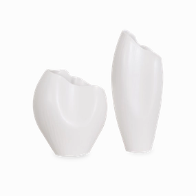 Horn Vase creative interior decor
