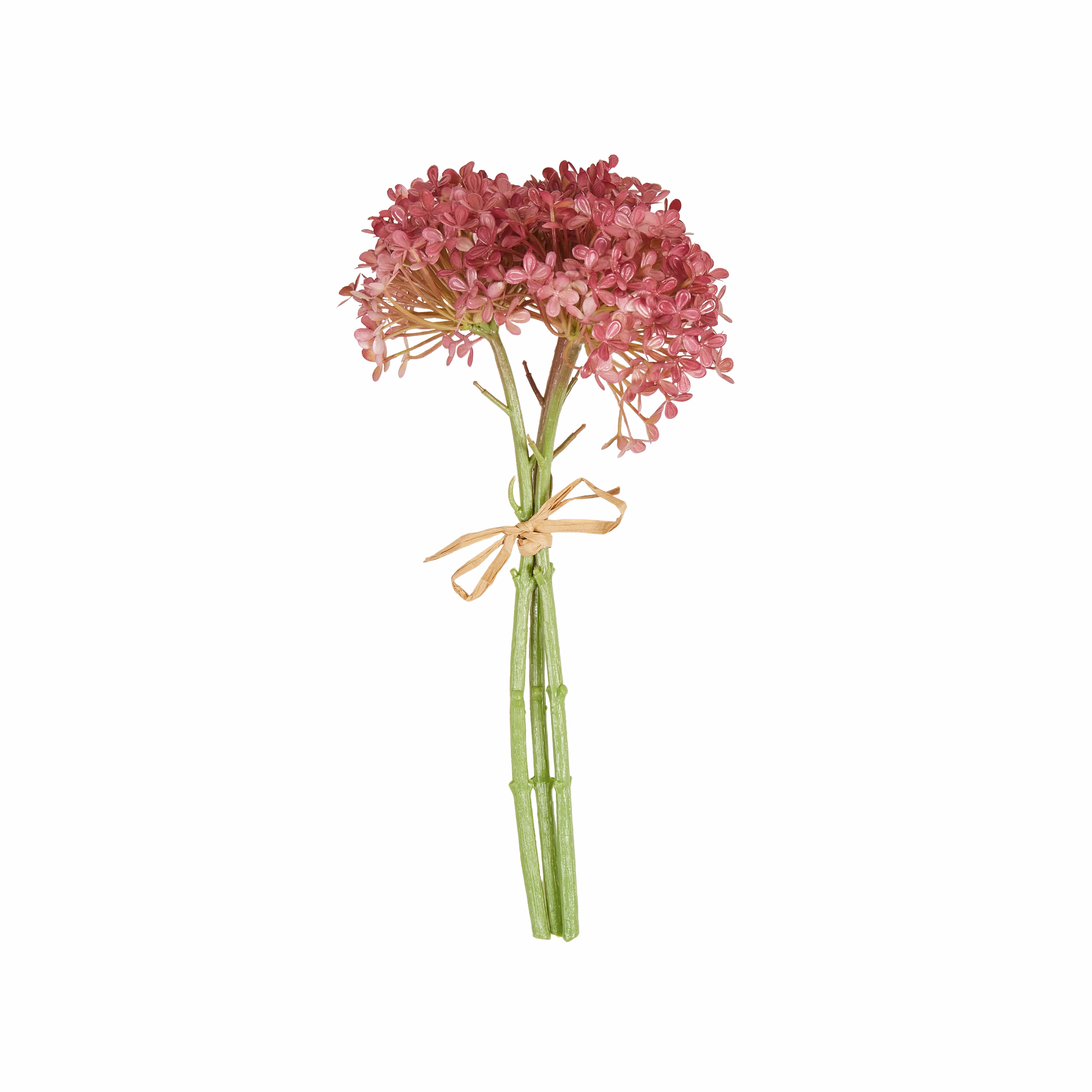 Hortensia Bunch creative interior decor