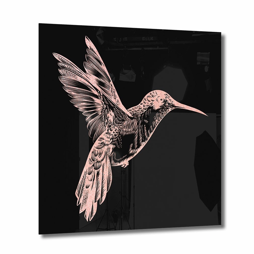 Hummingbird Ros on Acrylic framed mural artwork