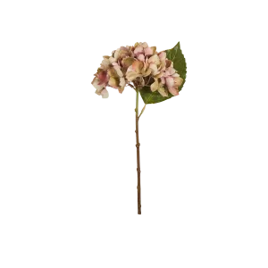 Hydrangea Stem creative interior decor