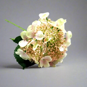 Hydrangea Bridal Beauty decorative home ornament