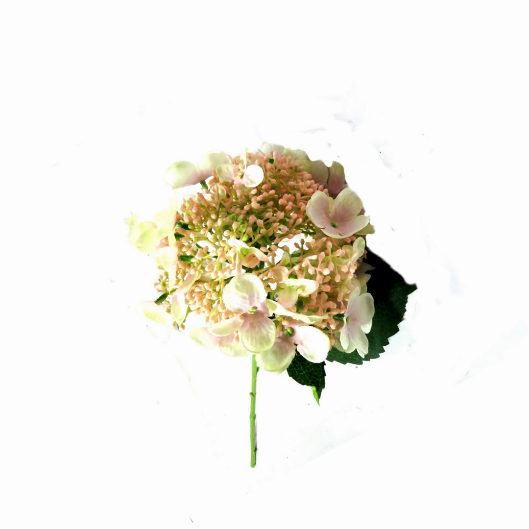 Hydrangea Bridal Beauty