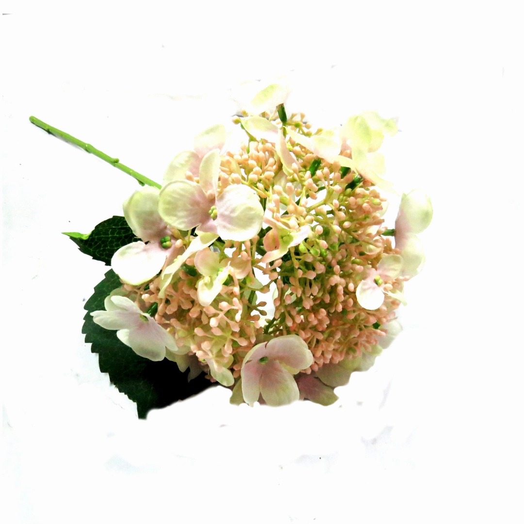 Hydrangea Bridal Beauty