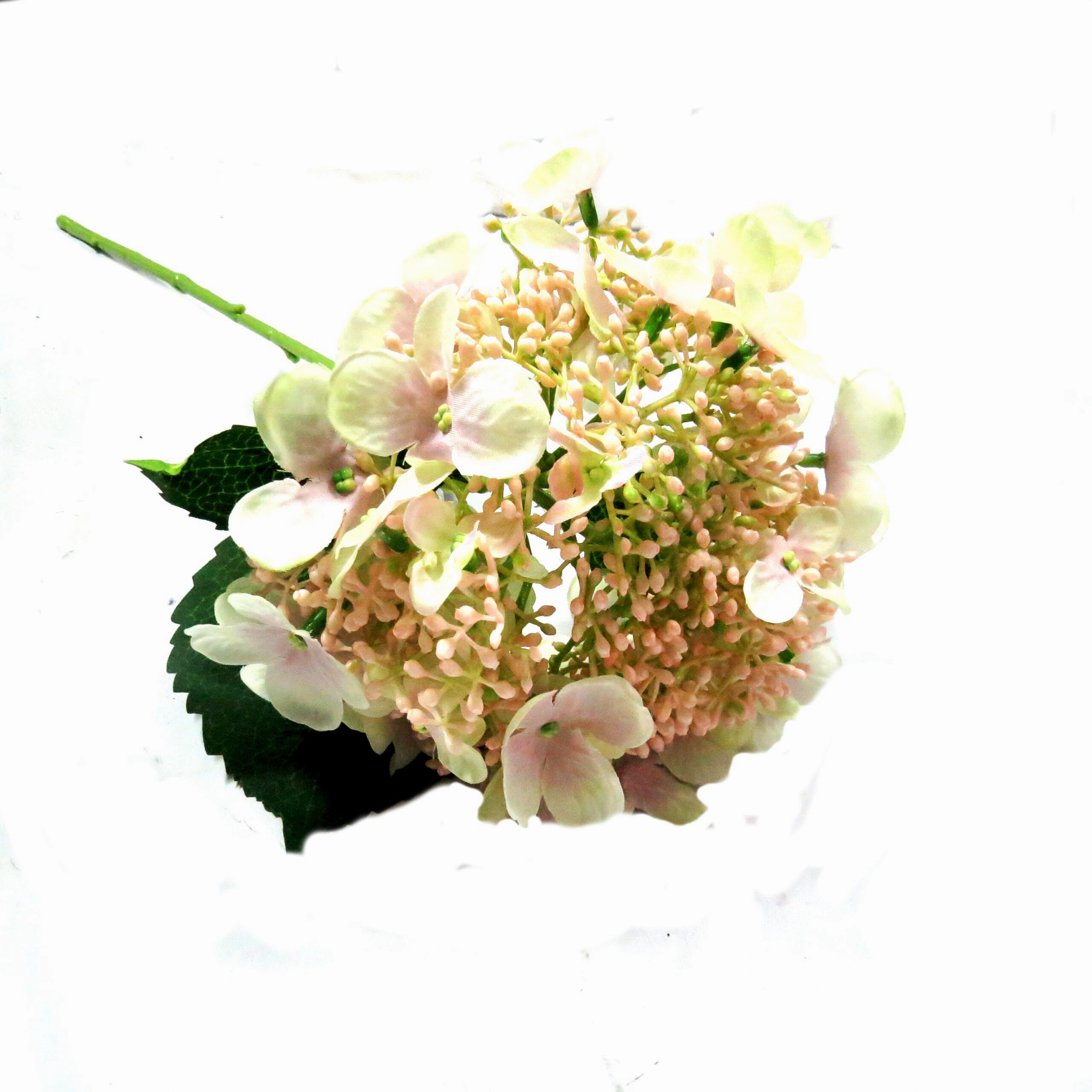 Hydrangea Bridal Beauty