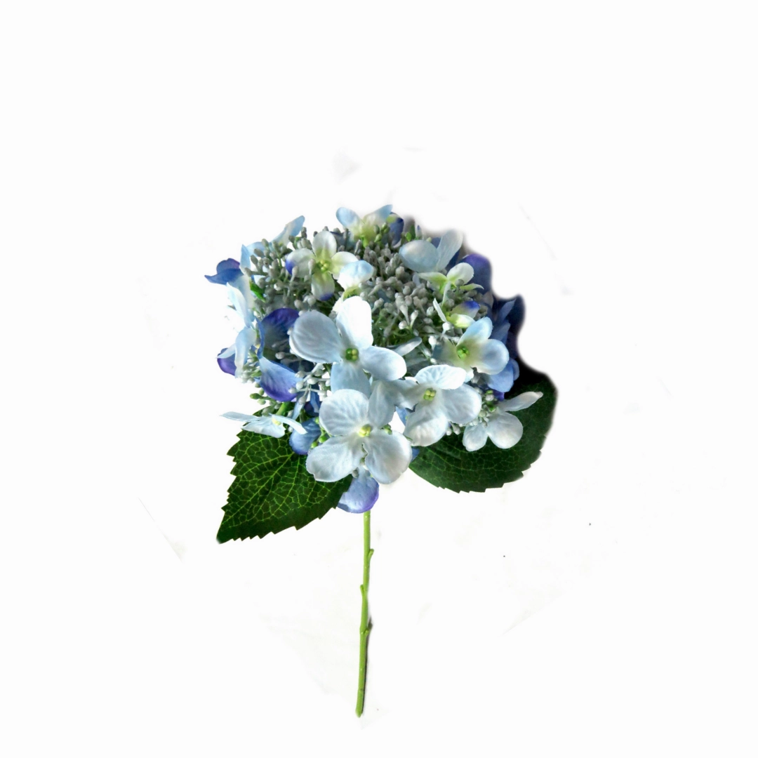 Hydrangea Bridal Blue