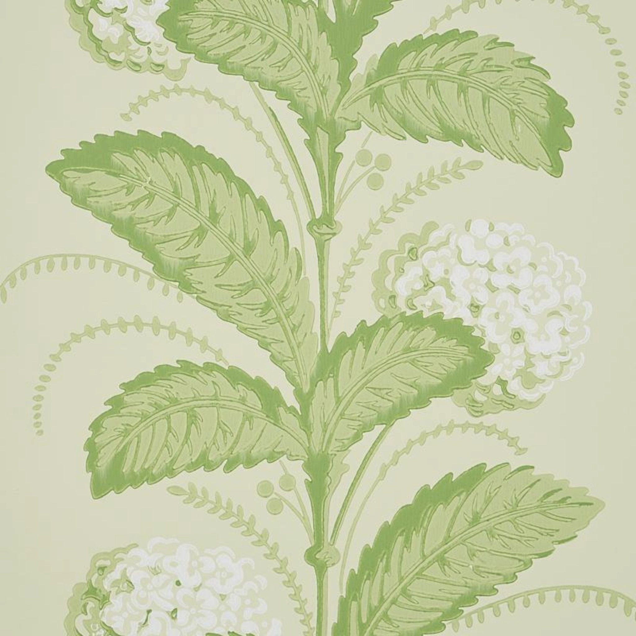 Hydrangea Drape in Green Wallpaper