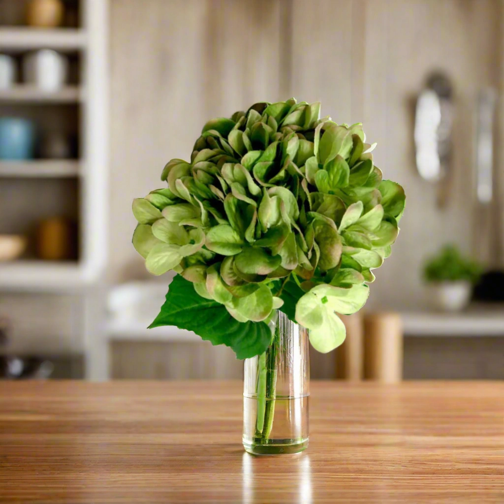 Hydrangea Greenshade