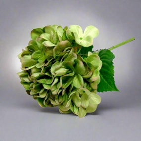 Hydrangea Greenshade decorative home ornament