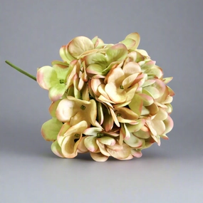 Hydrangea Hemel En Aarde decorative home ornament