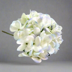 Hydrangea I'heure Bleu decorative home ornament