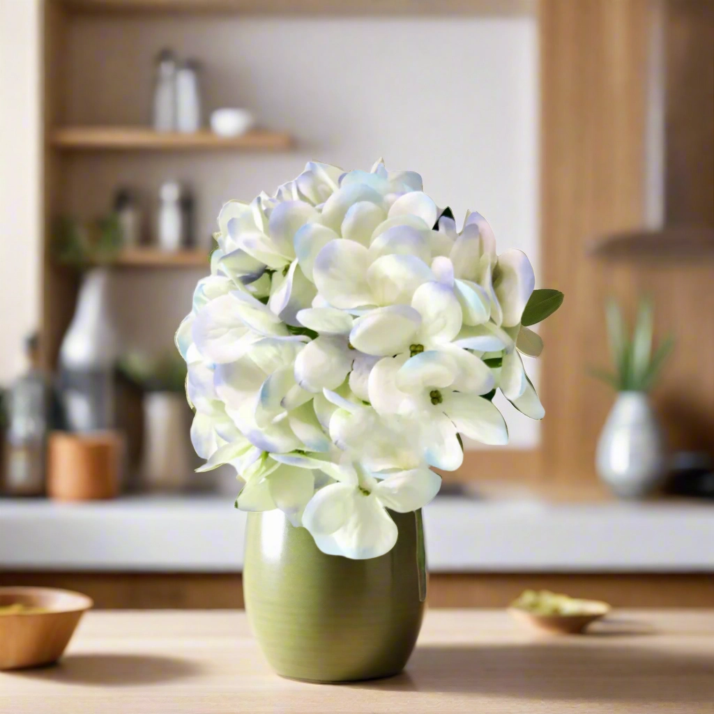 Hydrangea I'heure Bleu