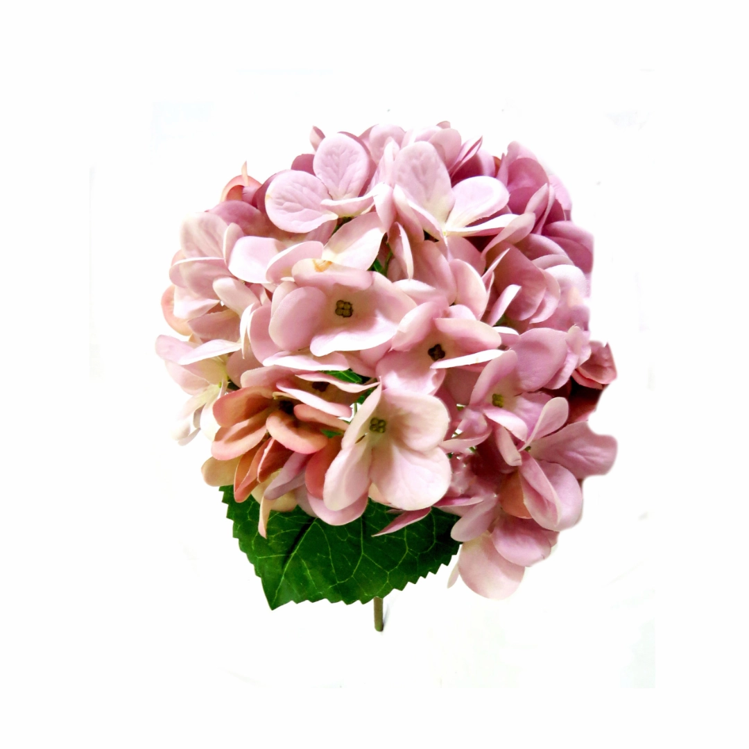 Hydrangea Lilac Milkshake