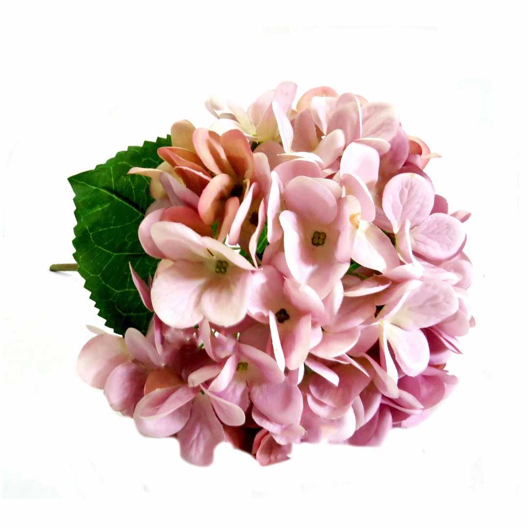 Hydrangea Lilac Milkshake