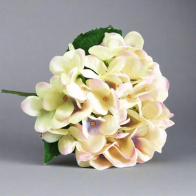 Hydrangea Pastel Perfection decorative home ornament