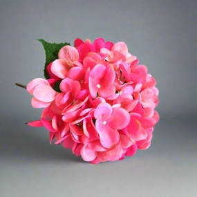 Hydrangea Pink Lightning decorative home ornament