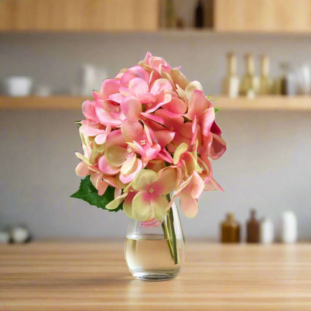 Hydrangea Pink Puff