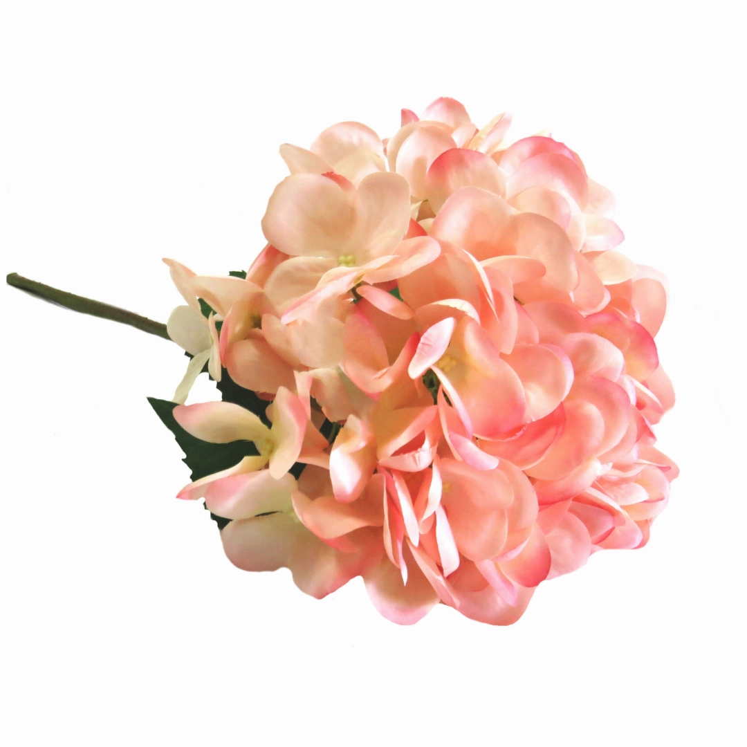 Hydrangea Pink Trifle