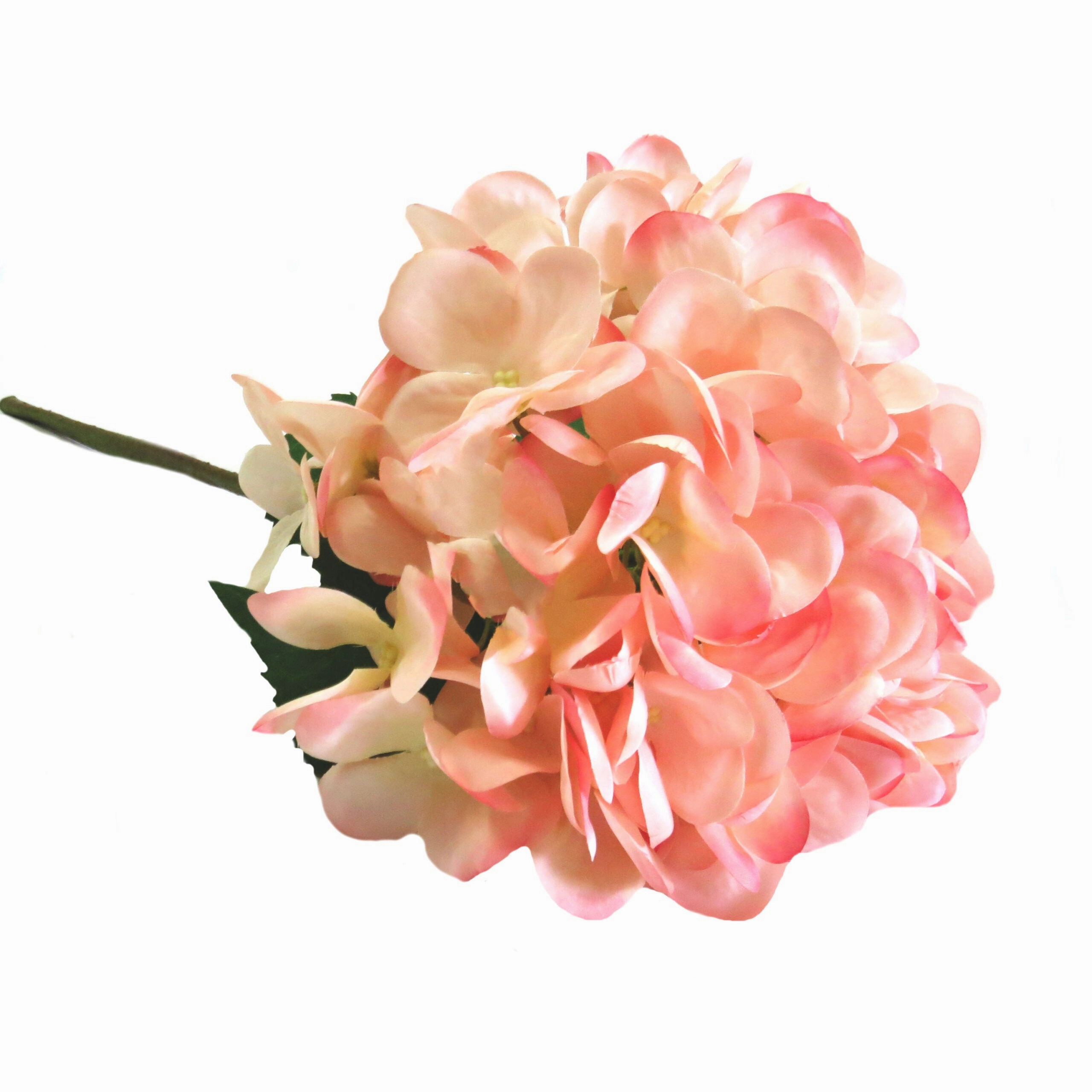 Hydrangea Pink Trifle