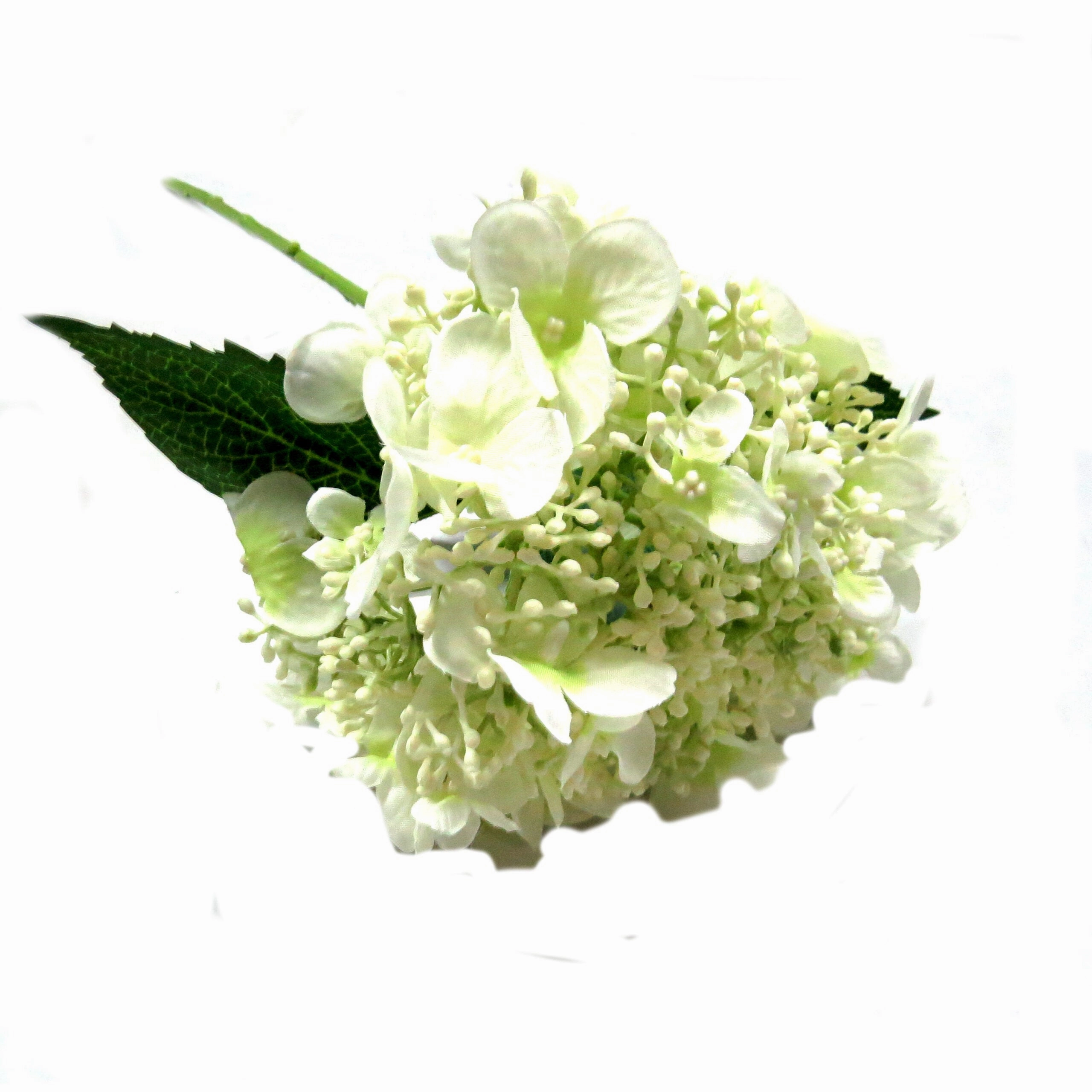 Hydrangea Quercifolia Bridal