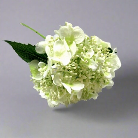 Hydrangea Quercifolia Bridal decorative home ornament