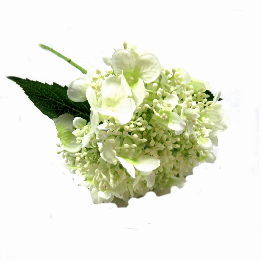 Hydrangea Quercifolia Bridal
