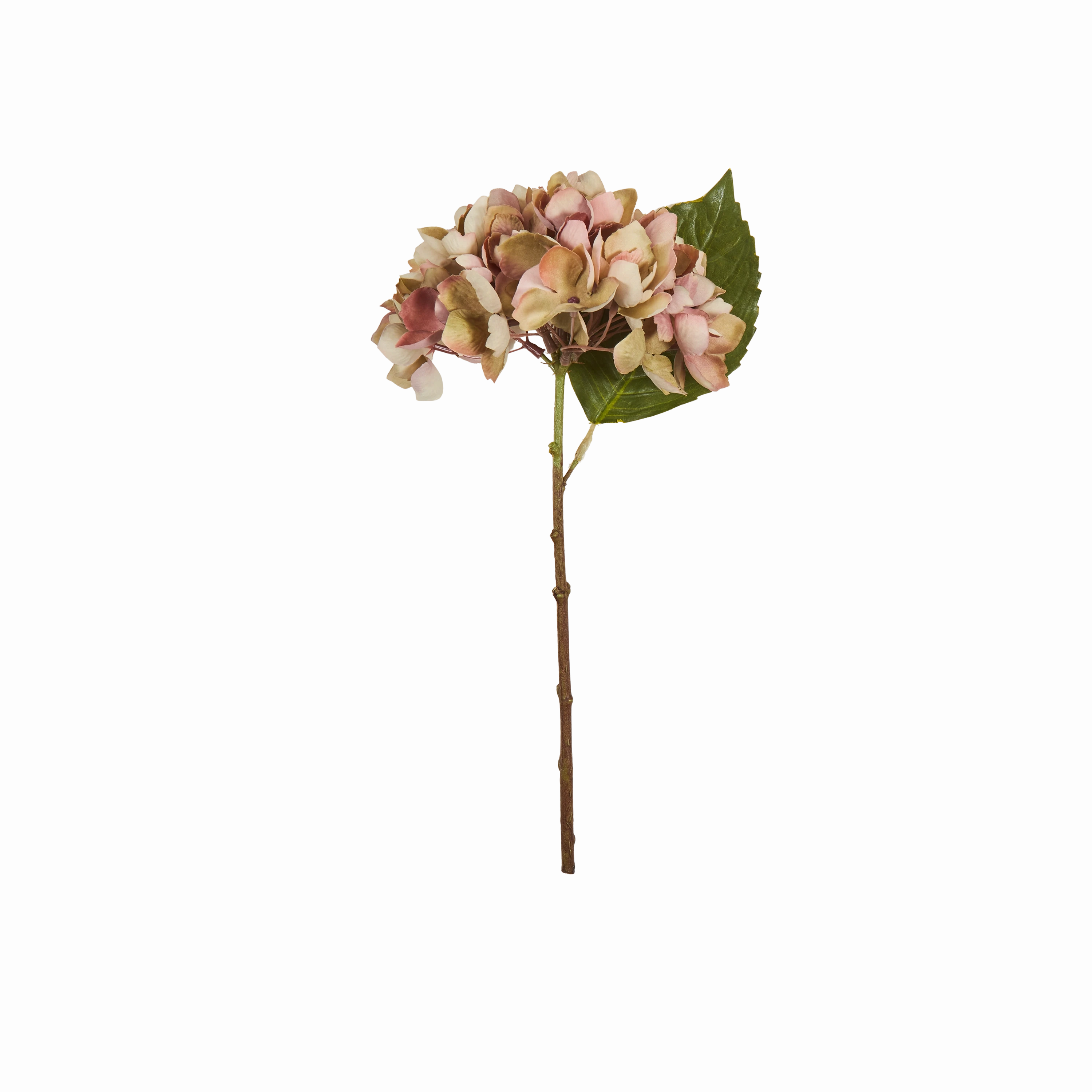 Hydrangea Stem creative interior decor