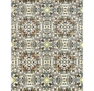 INSECTA  ILLULIAN STUDIO neutral everyday carpet