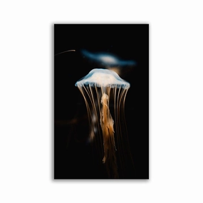 Jellyfish framed mural artwork