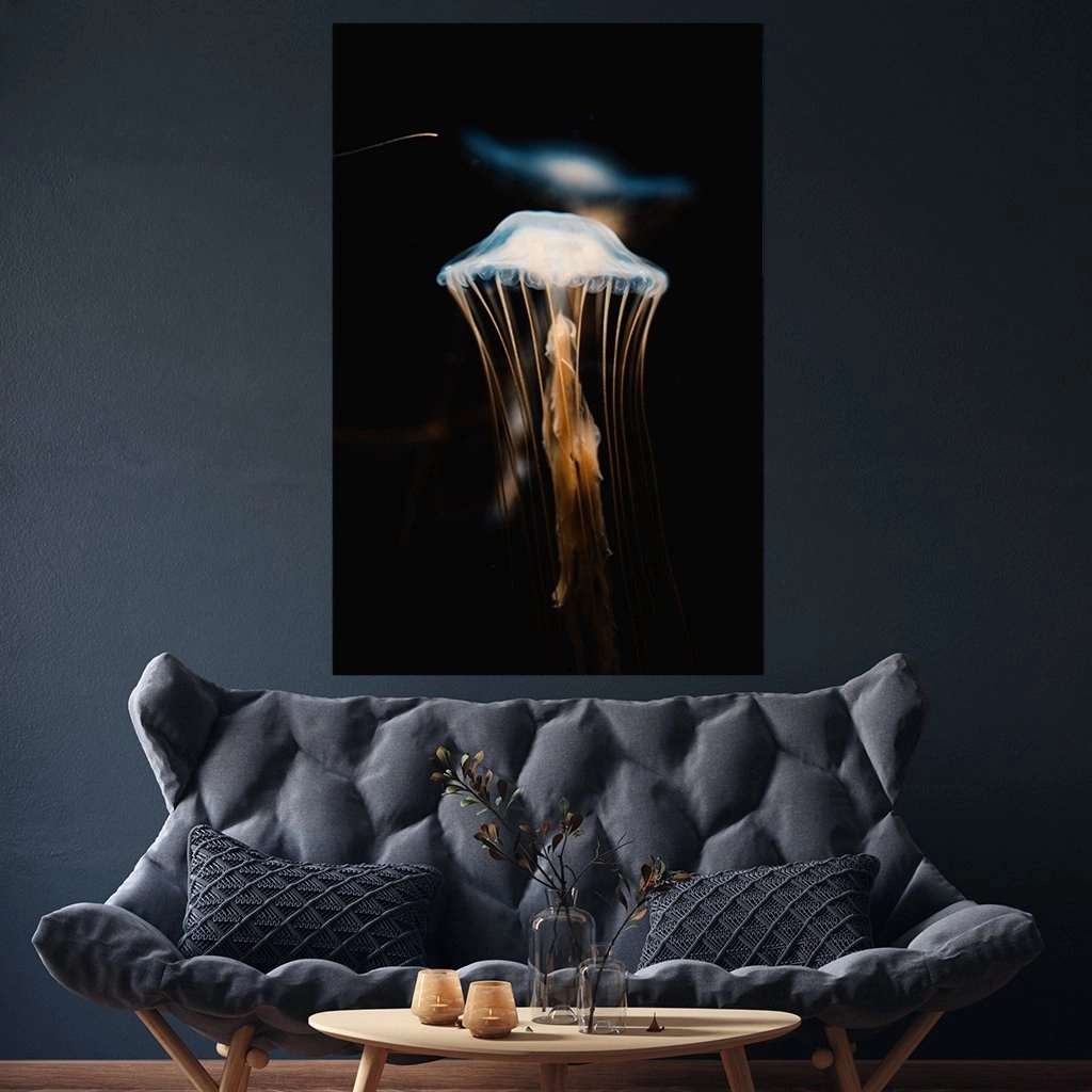 Jellyfish