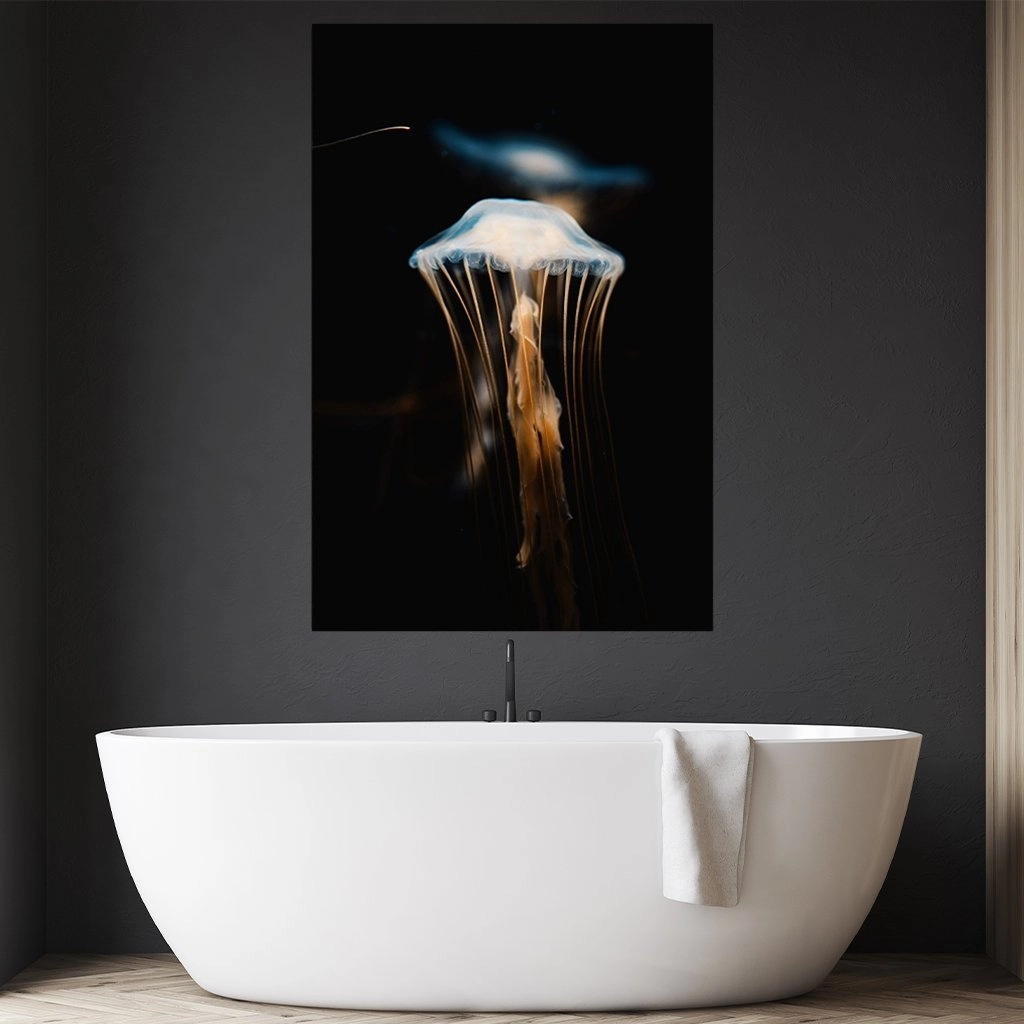 Jellyfish
