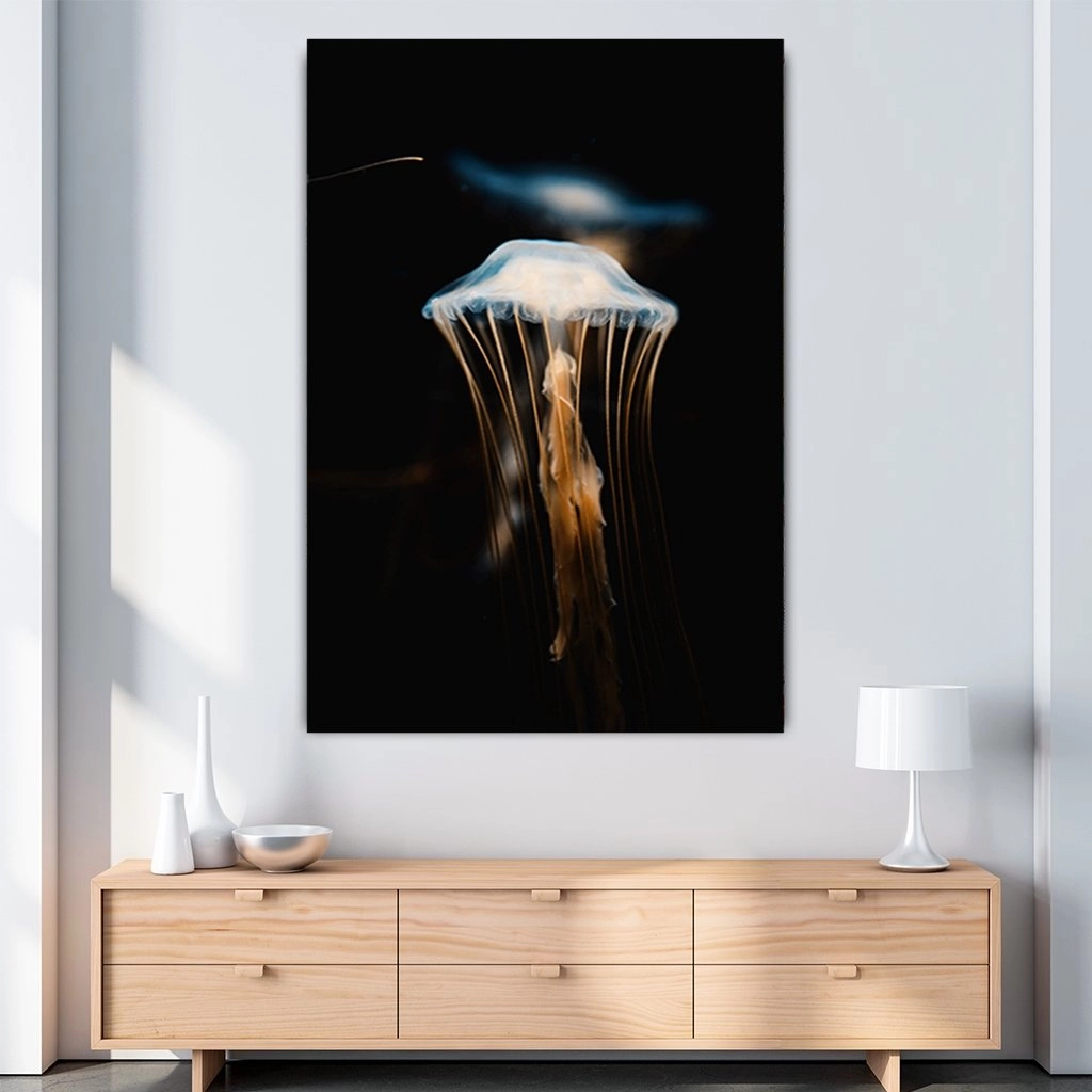 Jellyfish