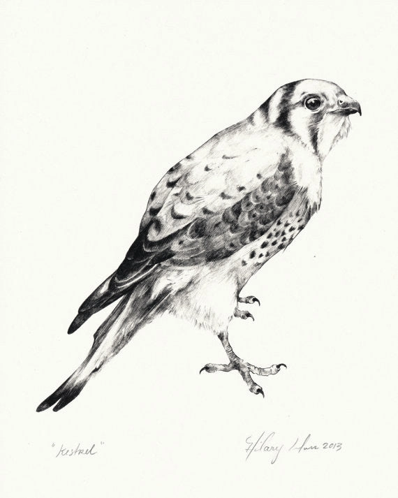 Kestrel Print minimalist art object  