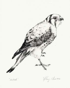 Kestrel Print minimalist art object  