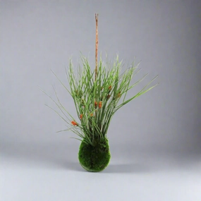 Kraanzkloof Reed Ball decorative home ornament