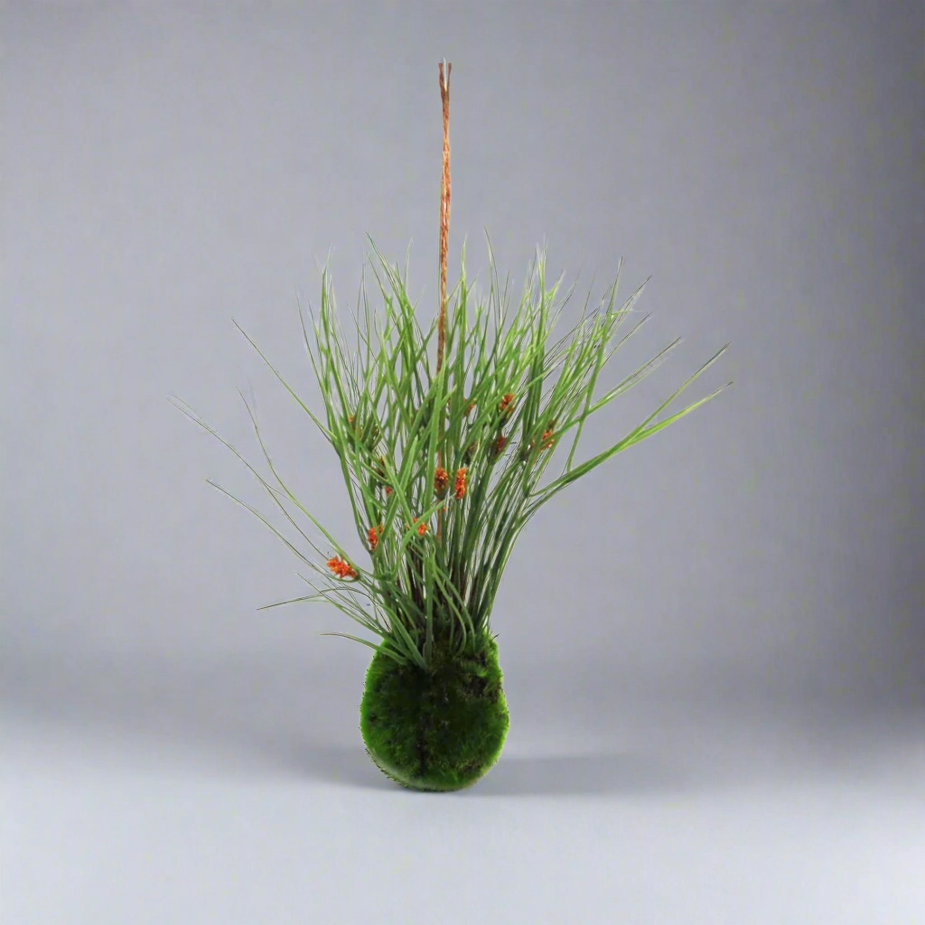 Kraanzkloof Reed Ball decorative home ornament