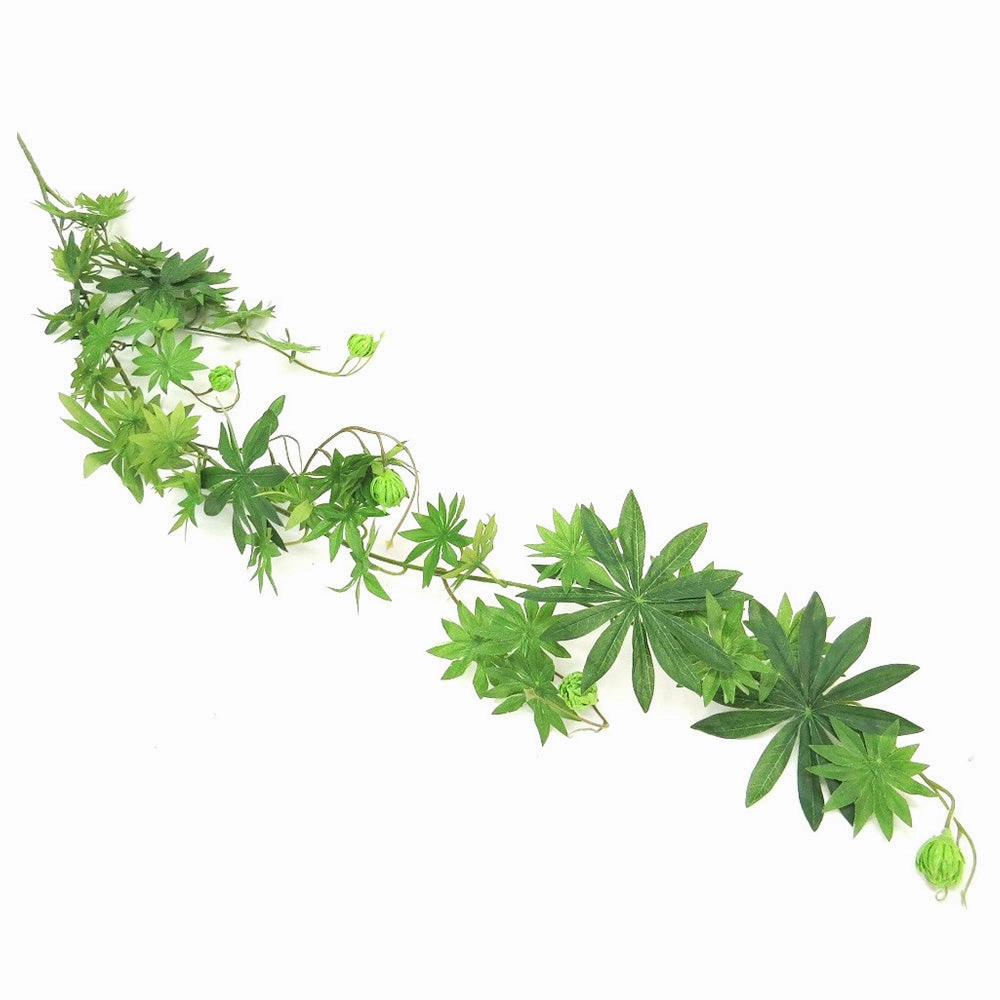 Ladygreenfingers Vine