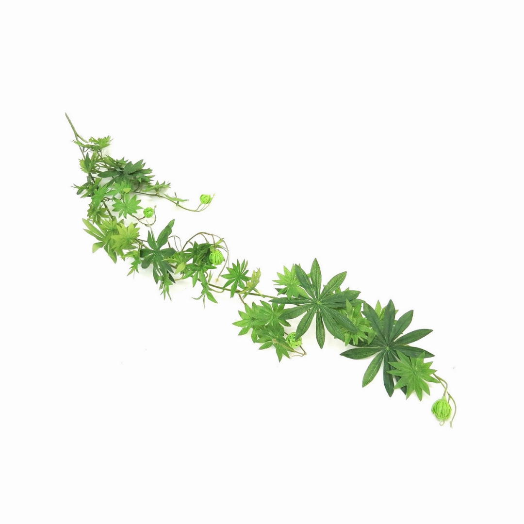 Ladygreenfingers Vine