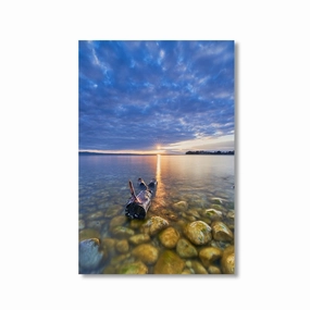 Lake Constance in the Morning by Nenad Jovic framed mural artwork