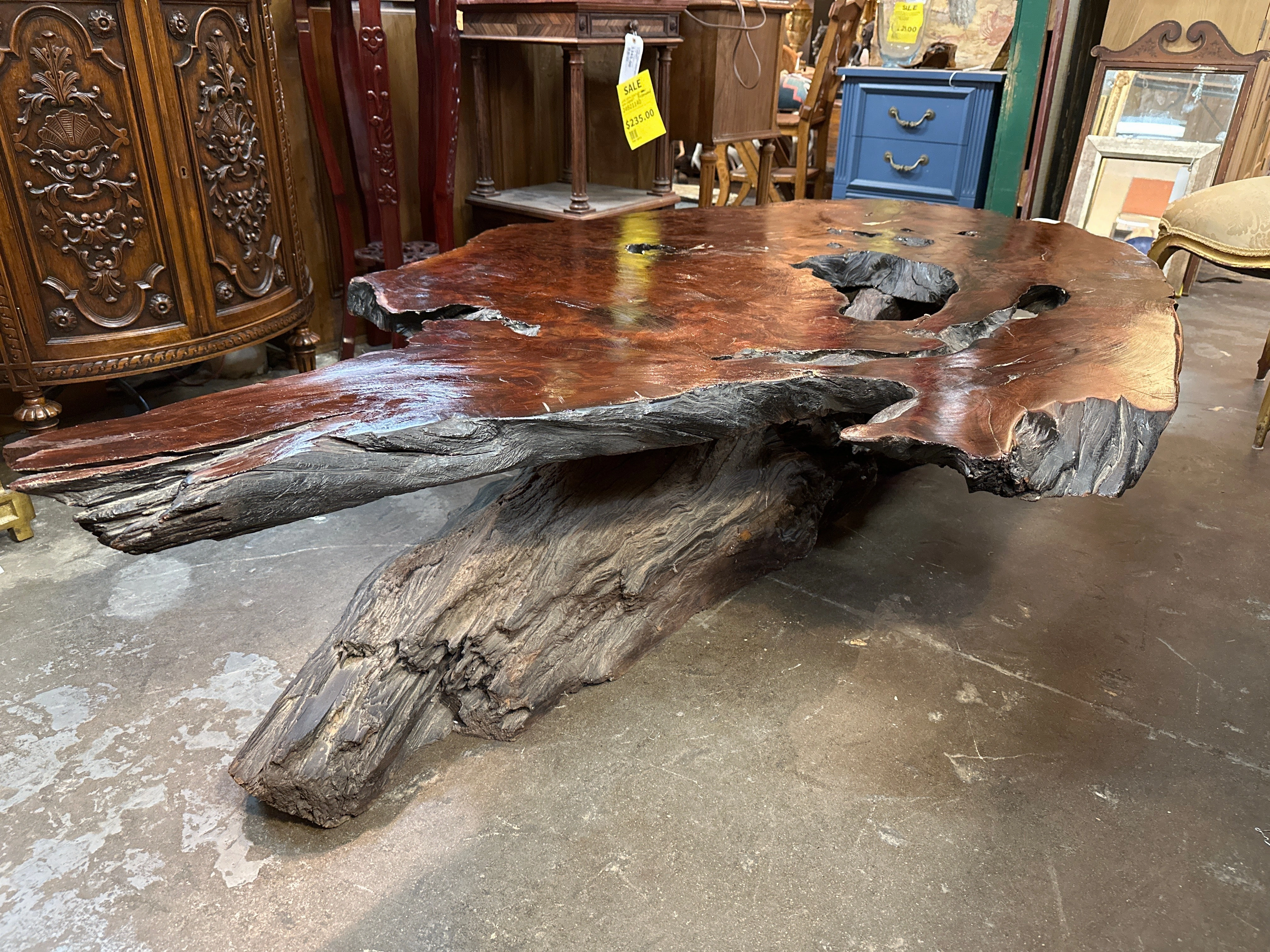 LARGE NATURAL TREE COFFEE TABLE