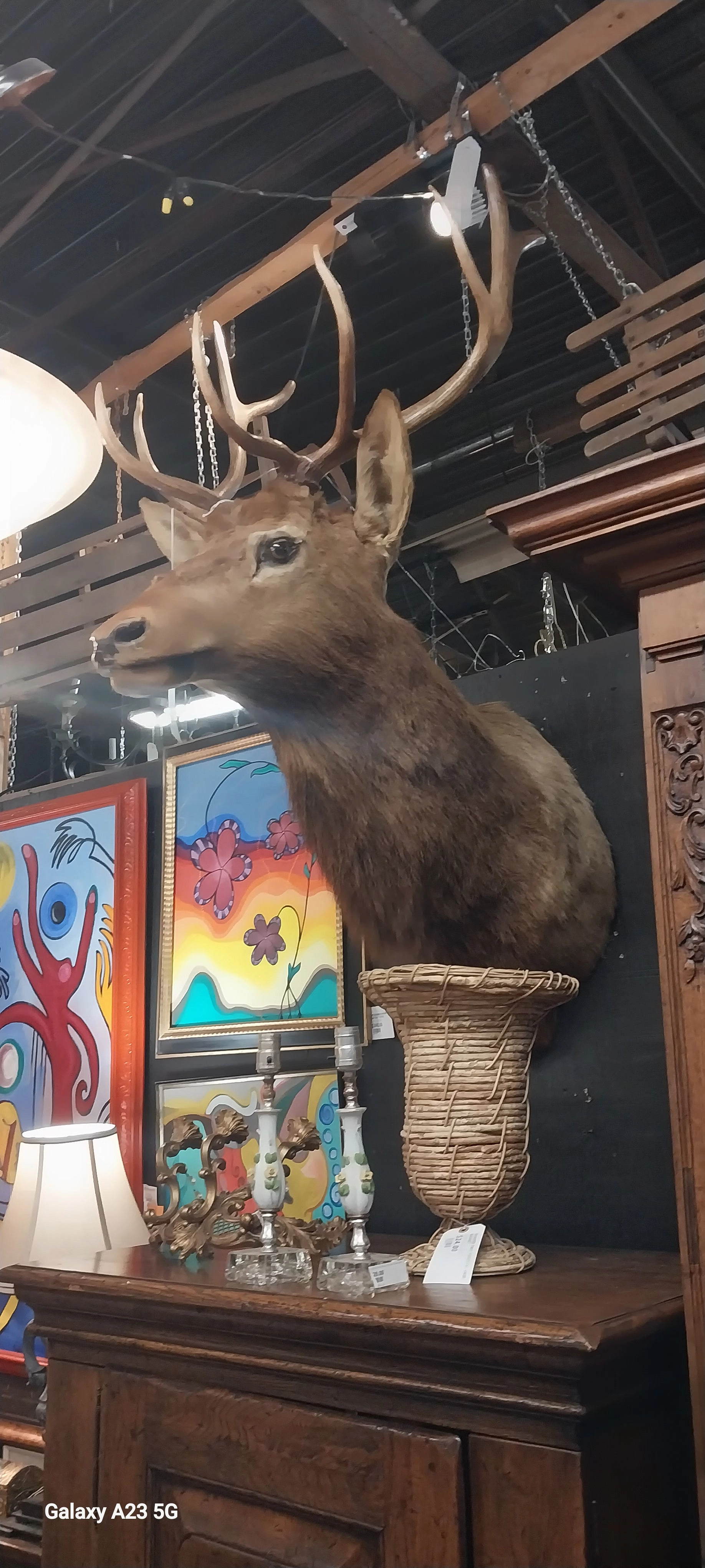 LARGE TAXIDERMY ELK MOUNT