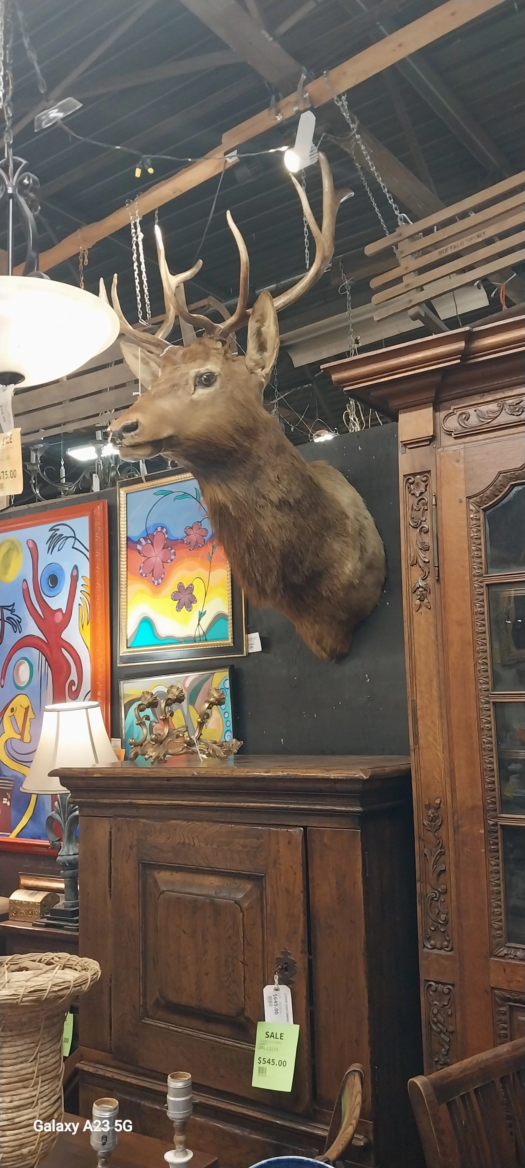 LARGE TAXIDERMY ELK MOUNT