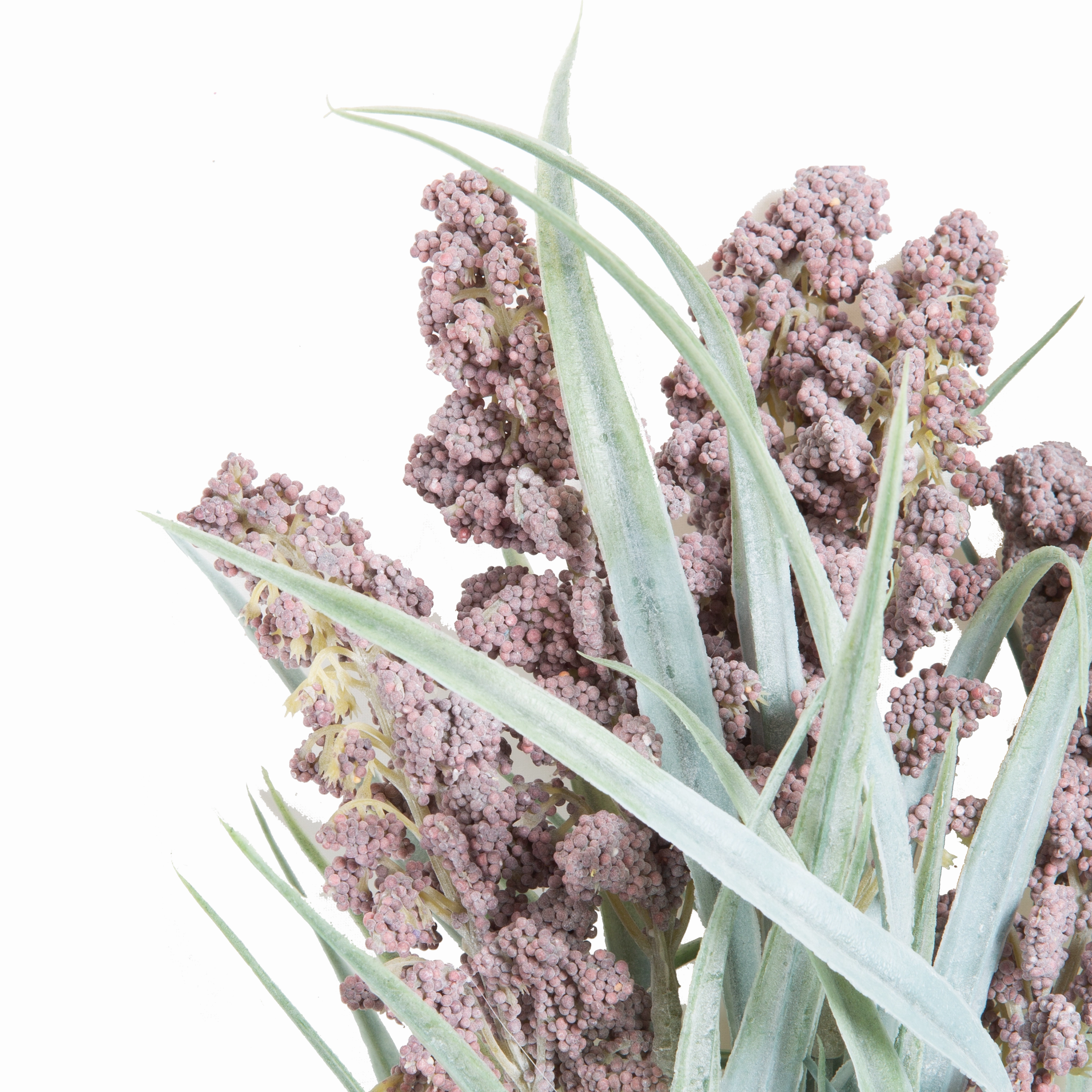 Lavender Bush Stem