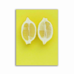 lemon framed mural artwork