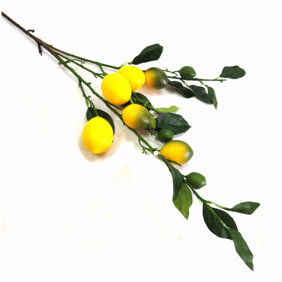 Lemon Branch