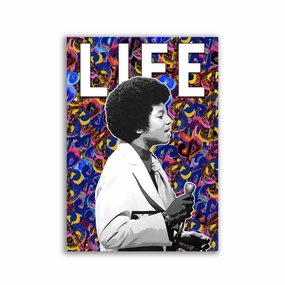 LIFE by RS Artist framed mural artwork