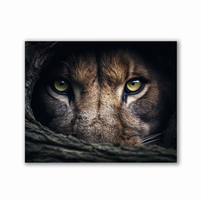 Lion Hiding by Zenzdesign framed mural artwork