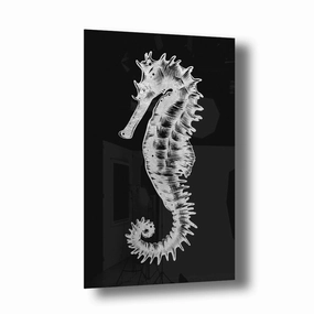 Little Seahorse Silver on Acrylic framed mural artwork